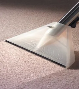 Carpet Cleaning